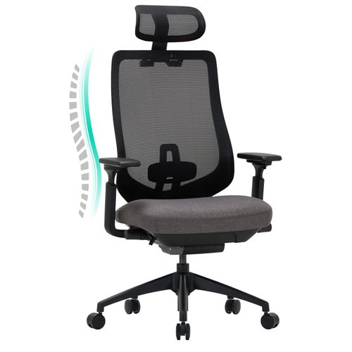 COLAMY Bürostuhl, Mesh-Bürostuhl – Chefsessel mit hoher Rückenlehne, Kopfstütze, 4D-Armlehnen, Schiebesitz und Kippsperre, Dunkelgrau