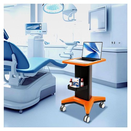 Schönheitswagen mit Seitenkasten, 60 kg/132,28 lbs (Orange Schwarz)