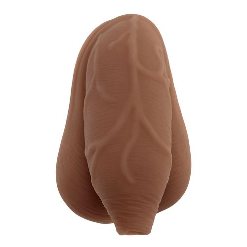 The Uncircumcised Packer, 11,6 cm
