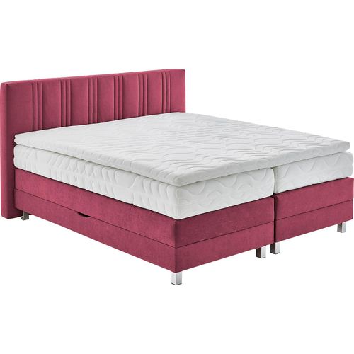 Boxspringbett, rot (bordeaux, rot), B:195cm L:210cm, Bezug: 100% Polyester;Polsterung: 100% Polyester, WESTFALIA SCHLAFKOMFORT, Komplettbetten, Boxspringbett, wahlweise mit Bettkasten und Topper