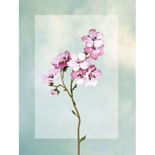 Bild KOMAR "Lever et Briller", bunt (farbe bild(er): bunt), B:30cm H:40cm, Holz, Papier, Bilder, Bild, Wandbild zur Dekoration - ohne Rahmen