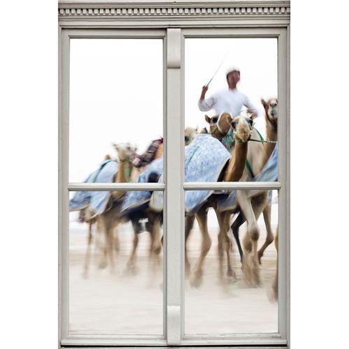 Wandsticker QUEENCE "Kamelritt", bunt, B:40cm H:60cm T:0,1cm, Wandtattoos, Wandsticker, Wandsticker, Wandbild, selbstklebend, 3D, Fenster