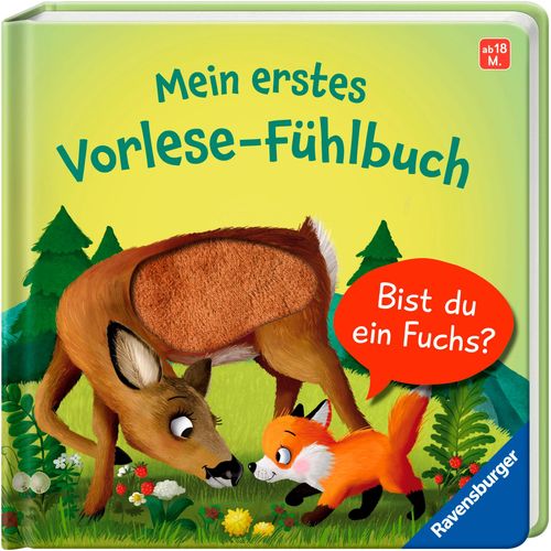Kinderbuch RAVENSBURGER "Pappbilderbuch, Mein erstes Vorlese-Fühlbuch Bist du ein Fuchs?", bunt, B:16,7cm H:16,7cm, Bücher, Kinderbuch