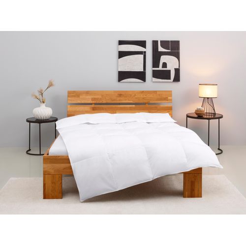 Kunstfaserbettdecke OTTO HOME "Taylore, Bettdecke 135x200, 155x220 cm", weiß, B:135cm L:200cm, Bezug: 100% Baumwolle. Füllung: 100% Polyester, Bettdecken, Kunstfaserbettdecke, Bettdecken, Sommer, Winter, 4 Jahreszeiten, Decke