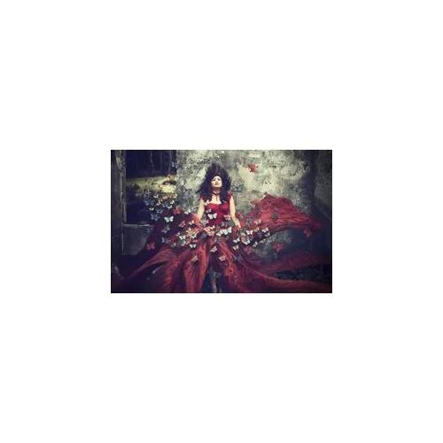 Fototapete PAPERMOON "Photo-Art SUKARIA NITIHANDAWA, SCHMETTERLING-EFFEKT", bunt, B:4,5m L:2,8m, Vlies, Tapeten