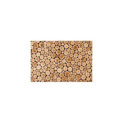 Fototapete PAPERMOON "Round Teak Wood", bunt, B:5m L:2,8m, Vlies, Tapeten