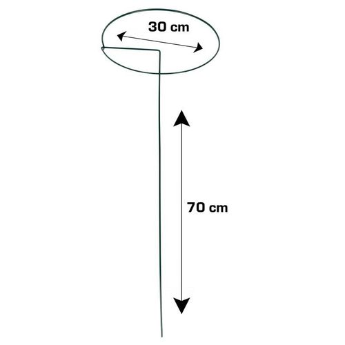 Home>it Plant support Ø30 x H70 cm