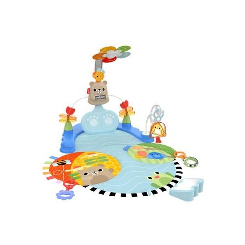 Fisher Price Fisher-Price HYR60 baby gym/play mat