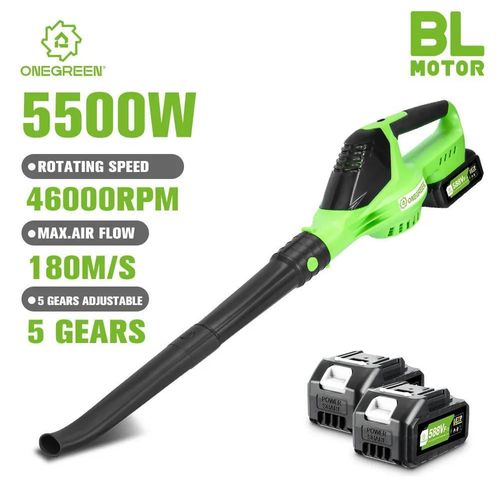 Akku-Laub- und Schneebläser - Turbo-Gebläse - Bürstenloser Motor - 5500 W - 180 m/s - 5 Stufen - 2 Akkus, EU-Stecker - Grün