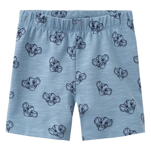 Der König der Löwen Radler mit Flammgarn