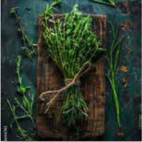 Glasbild HERBAL BUNCH