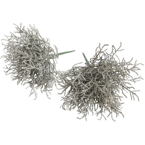 Kunstzweig BOTANIC-HAUS "Calocephalus (Silberkörbchen)", grau, B:17cm H:22cm T:17cm Ø:17cm, Kunststoff, Kunstpflanzen, Kunstzweig