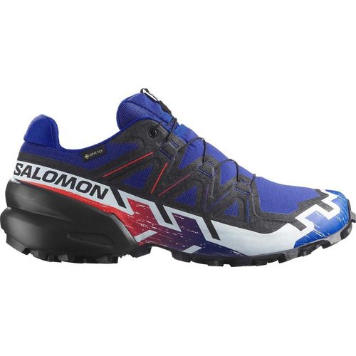 Salomon SPEEDCROSS 6 GTX EQUIPE Modefarben 41 1/3