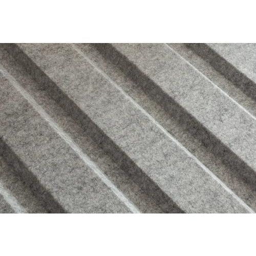Aufpreis SKAN HOLZ für Trapezblech mit Antikondensvlies 320 x 860 cm anthrazit