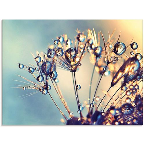 Glasbild ARTLAND "Pusteblume Glitzertau", blau (farbe bild(er): blau), B:80cm H:60cm, Bilder, in verschiedenen Größen
