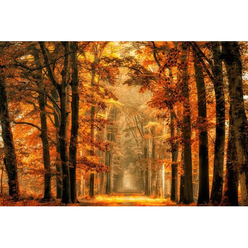 Fototapete PAPERMOON "Photo-Art VAN DE, BEENDEN SIE DAS PORTAL", bunt, B:2,5m L:1,86m, Vlies, Tapeten