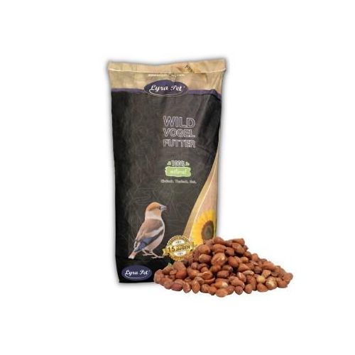 Lyra Pet Erdnusskerne mit Haut 10 kg