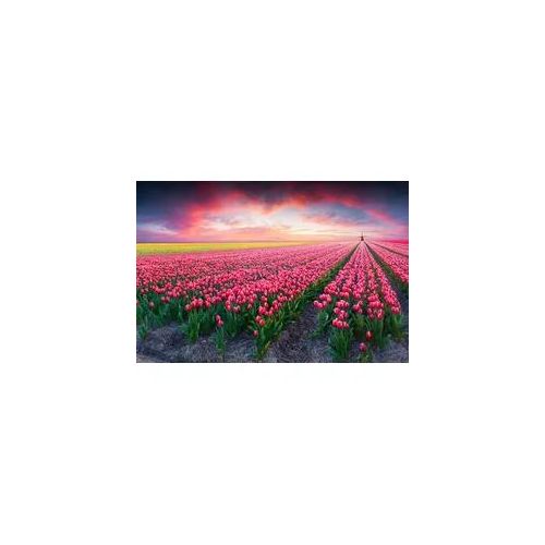 Fototapete PAPERMOON "Blumenfelder", bunt, B:3,5m L:2,6m, Vlies, Tapeten