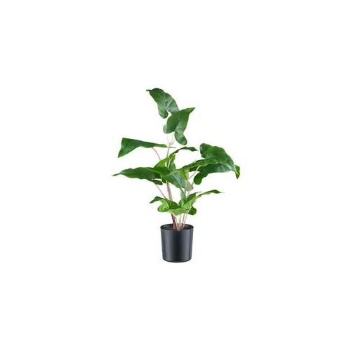 Kunstpflanze CREATIV GREEN "Colocasia esculenta", grün, H:50cm, Kunststoff, Kunstpflanzen, Kunstpflanze, mit detailgetreuem Blattwerk
