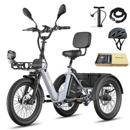 Elektro Dreirad mit 180 kg Nutzlast, 48 V 21 Ah Lithium Akku, 85 km Reichweite, für Fahrergröße 160-200 cm, Grau