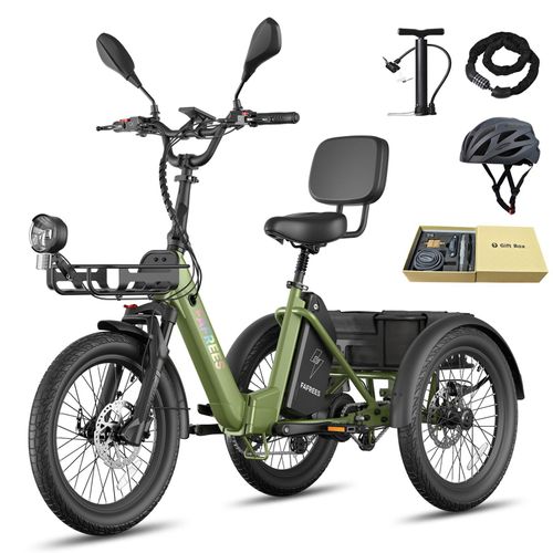 Elektro Dreirad mit 180 kg Nutzlast, 48 V 25 Ah Lithium Akku, 100 km Reichweite, für Fahrergröße 160-200 cm, Grün