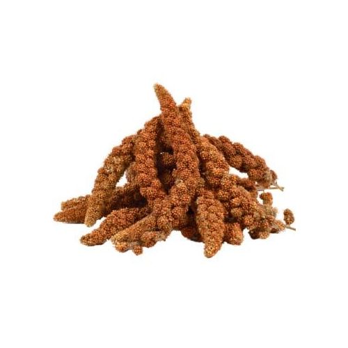 Lyra Pet Kolbenhirse rot 4 kg