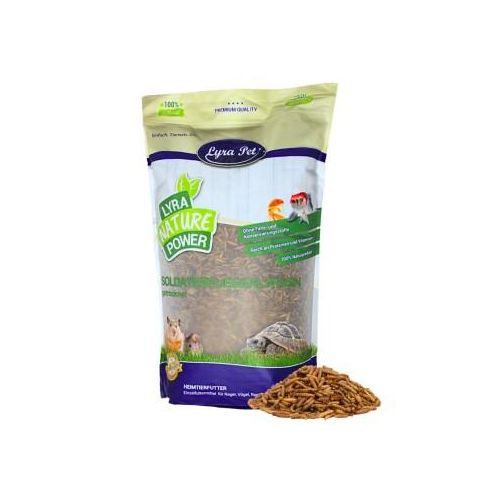Lyra Pet Soldatenfliegenlarven 5 kg