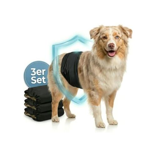 HUND IST KÖNIG Hundewindeln für Rüden [3 STK] Saugstarke Hundewindeln Rüde | Bequeme Hunde Windeln bei Inkontinenz XL
