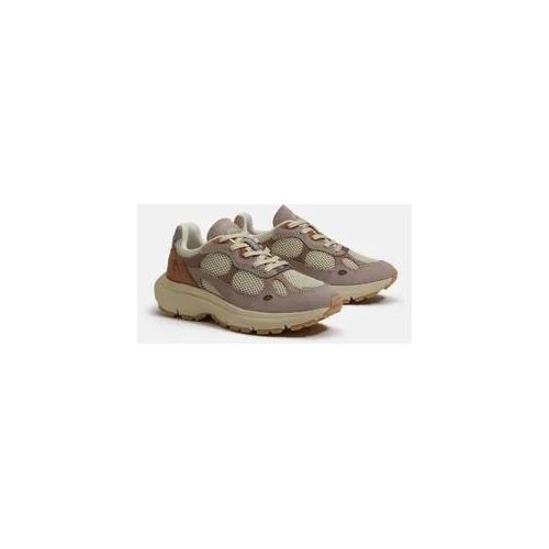 Sneaker TIMBERLAND "HAZEL LANE - LOW LACE SNEAKER", Damen, Gr. 37, ltbeimeshwltpnk, Leder, Synthetik, Schuhe Sneaker