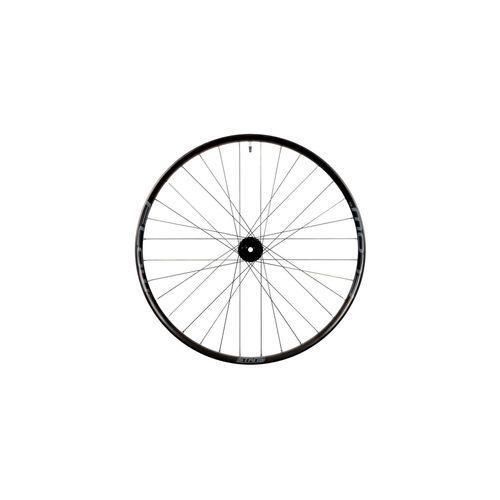 Stan's Flow S2 Vorderrad – 29'' – 15x110 TA – 6-Loch – Grau