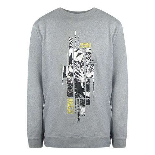 Cavalli Class - Graues Sweatshirt Mit Zersplittertem Tiger-print