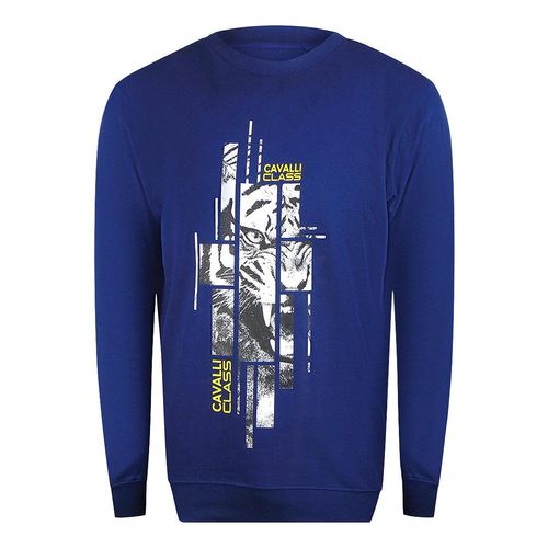Cavalli Class Sweatshirt Mit Zersplittertem Tiger-print In Irisblau