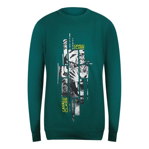 Cavalli Class - Grünes Ottanio-sweatshirt Mit Zersplittertem Tiger-print