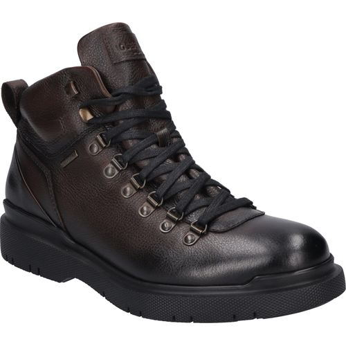 JOSEF SEIBEL Dalton 50 | Stiefelette für Herren | Braun Dalton 50, mocca