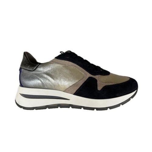 DL Sport 6338 versione 03