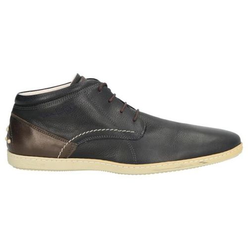 Van Lier 5407 48 combi