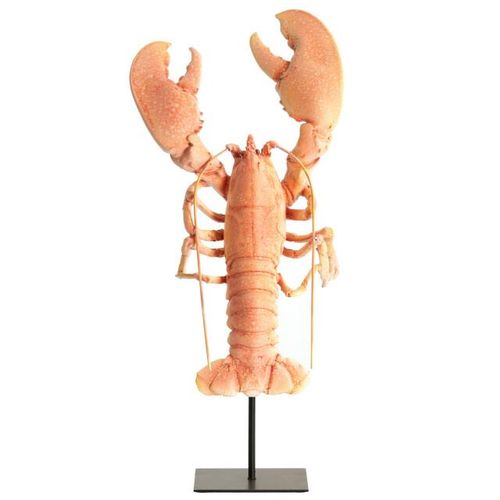 Light & Living ornament lobster 25x14x56.5 cm -