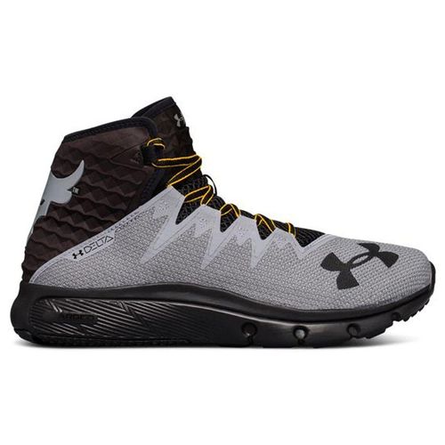 Under Armour Project Rock Delt Heren Grijs