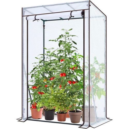 Kleines Gewächshaus mit PE-Bedeckung für optimales Pflanzenwachstum 100x50x152cm