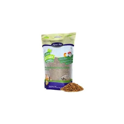1 kg Lyra Pet® Soldatenfliegenlarven