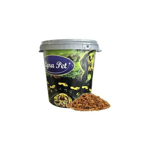 5 kg Lyra Pet® Soldatenfliegenlarven in 30 L Tonne