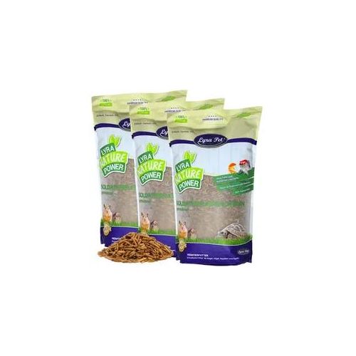 15 kg Lyra Pet® Soldatenfliegenlarven
