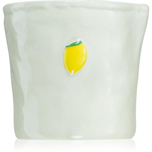 Paddywax Bistro Meyer Lemon geurkaars 226 g