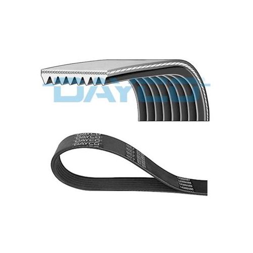 DAYCO Genart_nicht_zuordenbar 8pk2590hd
