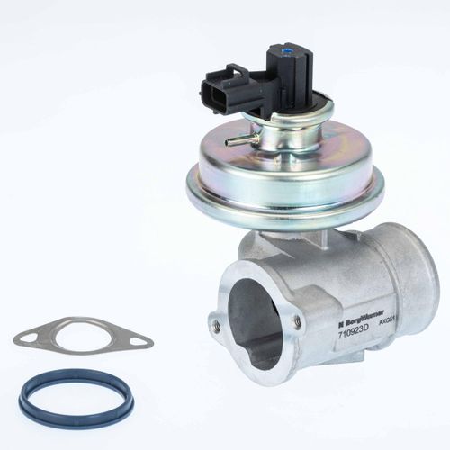 BORGWARNER AGR-Ventil 710923d für Ford JAGUAR