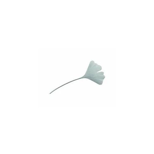 Brosche ADELIA ́S "Brosche Ginkgoblatt 925 Silber – Silberbrosche Ginkgoblatt", silber, Broschen, Damen, Silber 925 (Sterlingsilber), Brosche, Silberbrosche Ginkgoblatt