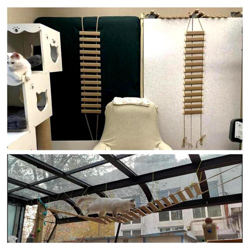 Katzenleiter für die Wand, 102 cm Kätzchen Sprungzubehör | Indoor Klettergerüst für Katzen