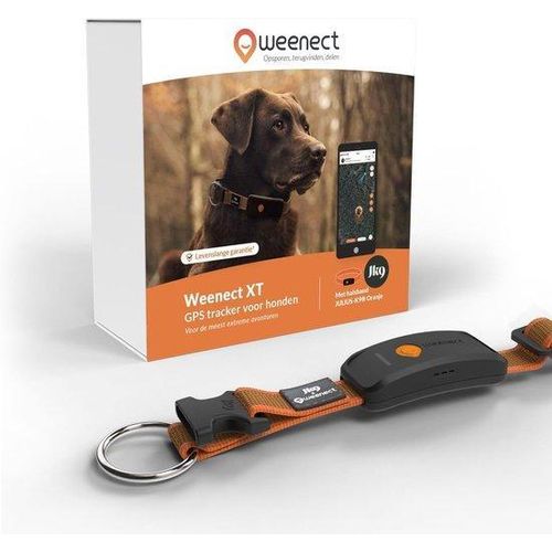 Wasserfestes Halsband für Hunde mit XL-Antenne und Echtzeit-Ortung