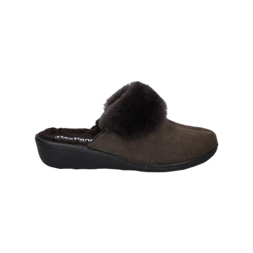 AVIGNON 306 Gr. 37