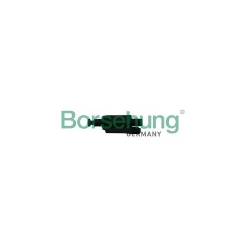 BORSEHUNG Bremslichtschalter b18011 für VAG